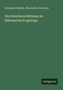 Edmund Schebek: Die Erwerbsverhältnisse im böhmischen Erzgebirge, Buch