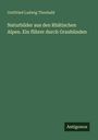 Gottfried Ludwig Theobald: Naturbilder aus den Rhätischen Alpen. Ein führer durch Graubünden, Buch