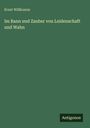 Ernst Willkomm: Im Bann und Zauber von Leidenschaft und Wahn, Buch