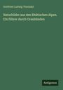 Gottfried Ludwig Theobald: Naturbilder aus den Rhätischen Alpen. Ein führer durch Graubünden, Buch