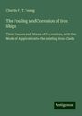 Charles F. T. Young: The Fouling and Corrosion of Iron Ships, Buch