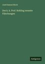 Josef Samuel Bloch: Des k. k. Prof. Rohling neueste Fälschungen, Buch