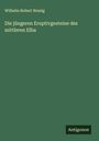 Wilhelm Robert Nessig: Die jüngeren Eruptivgesteine des mittleren Elba, Buch