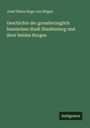 Josef Maria Hugo von Ritgen: Geschichte der grossherzoglich hessischen Stadt Staufenberg und ihrer beiden Burgen, Buch