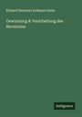 Richard Hermann Erdmann Klebs: Gewinnung & Verarbeitung des Bernsteins, Buch