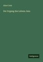 Albert Dulk: Der Irrgang des Lebens Jesu, Buch