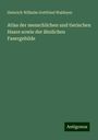 Heinrich Wilhelm Gottfried Waldeyer: Atlas der menschlichen und tierischen Haare sowie der ähnlichen Fasergebilde, Buch