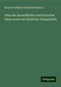 Heinrich Wilhelm Gottfried Waldeyer: Atlas der menschlichen und tierischen Haare sowie der ähnlichen Fasergebilde, Buch