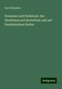 Karl Schneider: Rousseau und Pestalozzi, der Idealismus auf deutschem und auf französischem Boden, Buch