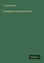 Ferdinand Keller: Pfahlbauten: Sechster Bericht, Buch