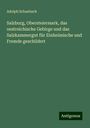 Adolph Schaubach: Salzburg, Obersteiermark, das oestreichische Gebirge und das Salzkammergut für Einheimische und Fremde geschildert, Buch