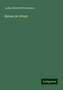 Julius Heinrich Petermann: Reisen im Orient, Buch