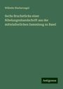 Wilhelm Wackernagel: Sechs Bruchstücke einer Nibelungenhandschrift aus der mittelalterlichen Sammlung zu Basel, Buch