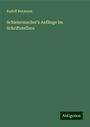 Rudolf Baxmann: Schleiermacher's Anfänge im Schriftstellern, Buch