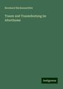 Bernhard Büchsenschütz: Traum und Traumdeutung im Alterthume, Buch