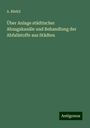 A. Bürkli: Über Anlage städtischer Abzugskanäle und Behandlung der Abfallstoffe aus Städten, Buch