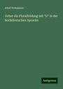 Adolf Holtzmann: Ueber die Pluralbildung mit "ir" in der hochdeutschen Sprache, Buch