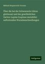 Mikhail Stepanovich Voronin: Über die bei der Schwarzerle (Alnus glutinosa) und der gewöhnlichen Garten-Lupine (Lupinus mutabilis) auftretenden Wurzelanschwellungen, Buch