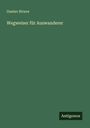 Gustav Struve: Wegweiser für Auswanderer, Buch