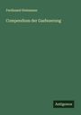 Ferdinand Steinmann: Compendium der Gasfeuerung, Buch