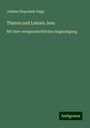 Johann Nepomuk Sepp: Thaten und Lehren Jesu, Buch