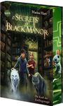 Marisa Hart: Secrets of Black Manor (3). Die Kraft der Zwillingsmagie, Buch