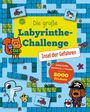 "Die große Labyrinthe-Challenge - Insel der Gefahren". Illustrationen von Tieren und Labyrinthen auf buntem Hintergrund.