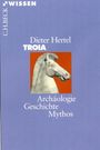 Dieter Hertel: Troia, Buch