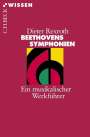: Beethovens Symphonien, Buch
