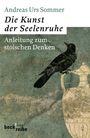 Andreas Urs Sommer: Die Kunst der Seelenruhe, Buch