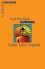 Axel Michaels: Buddha, Buch