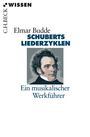 Elmar Budde: Schuberts Liederzyklen, Buch