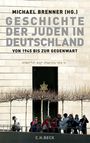 : Geschichte der Juden in Deutschland von 1945 bis zur Gegenwart, Buch