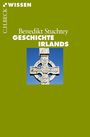 Benedikt Stuchtey: Geschichte Irlands, Buch