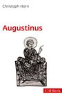 Christoph Horn: Augustinus, Buch