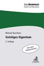 Michael Beurskens: Geistiges Eigentum, Buch