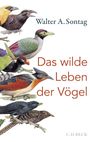 Walter A. Sontag: Das wilde Leben der Vögel, Buch