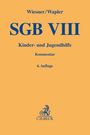 : Sgb Viii, Buch