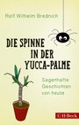 Rolf Wilhelm Brednich: Die Spinne in der Yucca-Palme, Buch