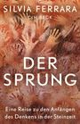 Silvia Ferrara: Der Sprung, Buch