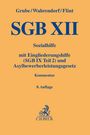 : Sgb Xii, Buch