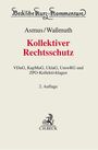 : Kollektiver Rechtsschutz, Buch