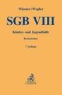 : Sgb Viii, Buch