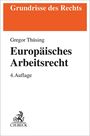 Gregor Thüsing: Europäisches Arbeitsrecht, Buch