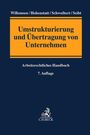 : Umstrukturierung und Übertragung von Unternehmen, Buch