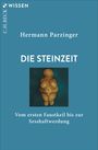 Hermann Parzinger: Die Steinzeit, Buch