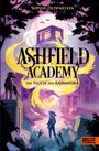 Sophie Oldenstein: Ashfield Academy - Der Fluch der Kassandra, Buch