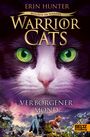 Text: "ERIN HUNTER", "WOLKEN IM WANDEL", "WARRIOR CATS", "VERBORGENER MOND", "BELTZ & GELBERG". Illustration: Katzengesicht.