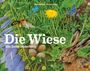 Hans Baltzer: Die Wiese, Buch