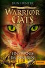 Erin Hunter: Warrior Cats7/04. Das gebrochene Gesetz - Finsternis im Inneren, Buch